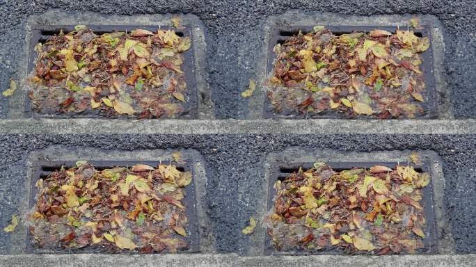 街道的雨水渠被落下的树叶堵塞。