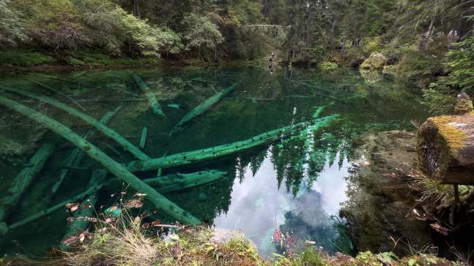 深潭 水潭 池水森林原始森林镜面天空倒影