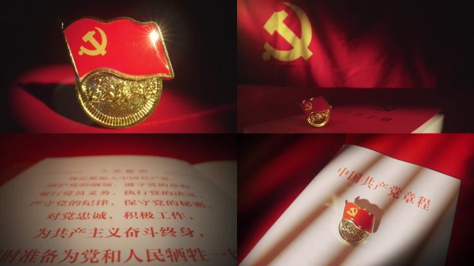 中国共产党章程 党委 党建 党委【组镜】