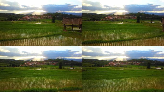 德宏芒市遮放稻田