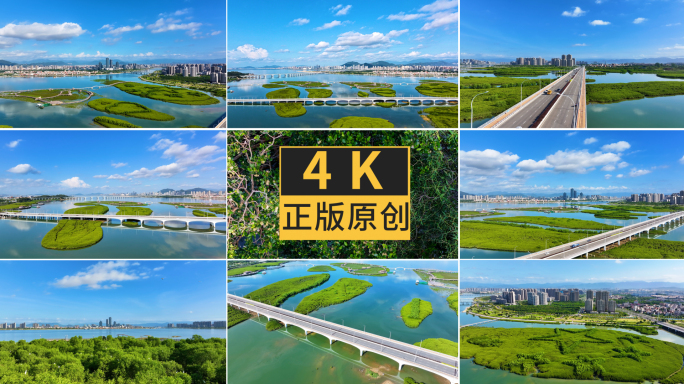 翔安蓝天白云下潭尾公园绿色低碳白鹭合集