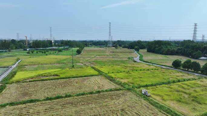 袁隆平杂交水稻科技馆水稻田航拍4k