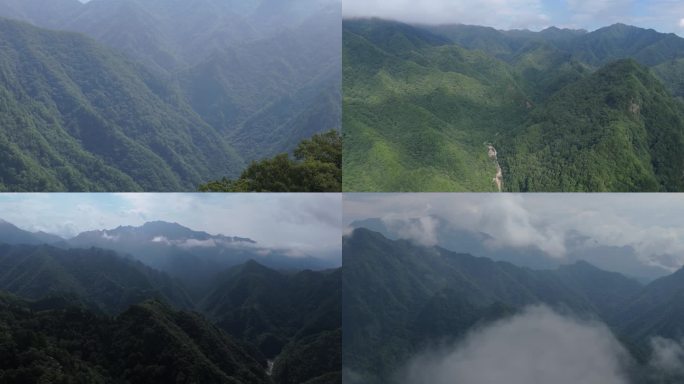 36组秦岭 西安 鄠邑区 朝阳沟