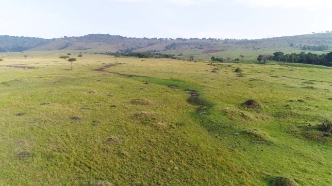 自然 绿色 户外 生态