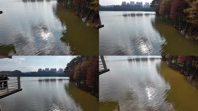 麓湖公园 湖面湖景
