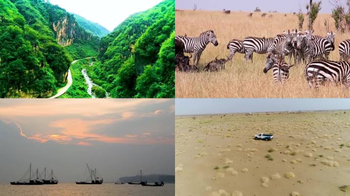 自然 绿色 户外 生态