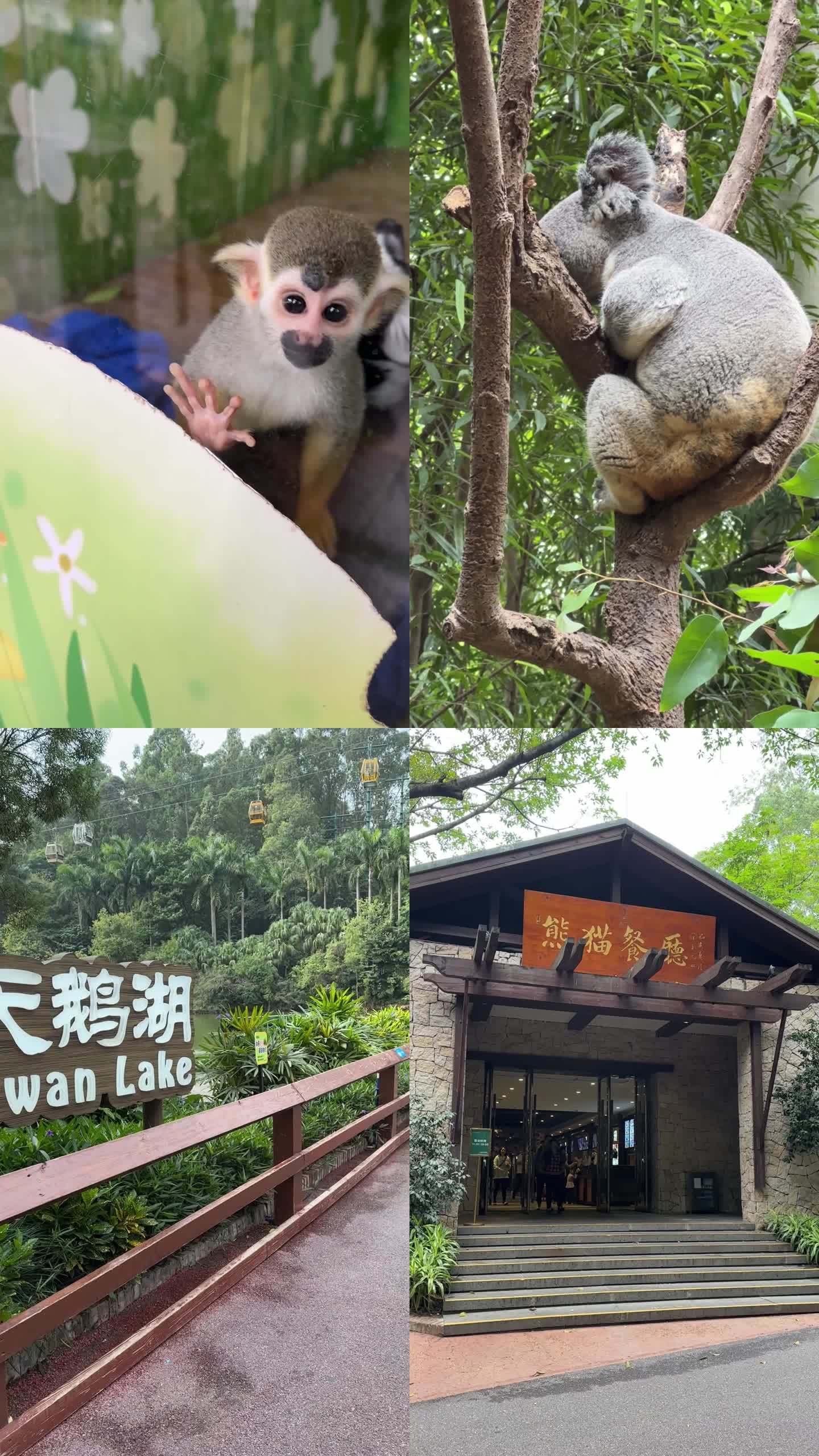 野生动物园素材