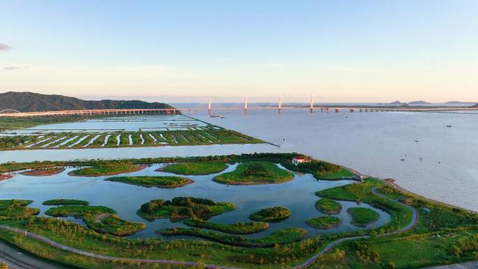 横琴湿地公园横琴二井湾湿地公园 香海大桥