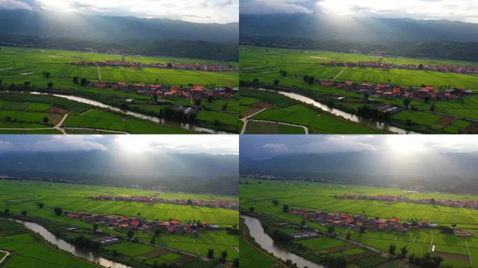 德宏芒市遮放稻田