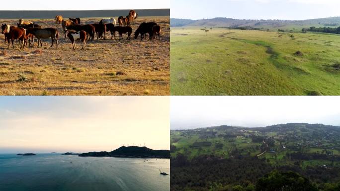 自然 绿色 户外 生态