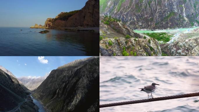 自然 绿色 户外 生态