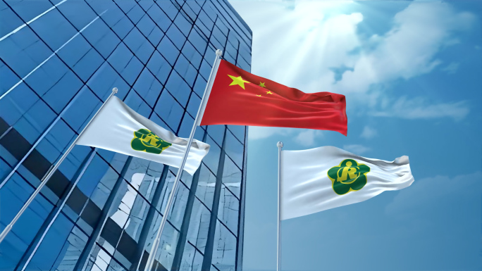 4K中国残联旗帜