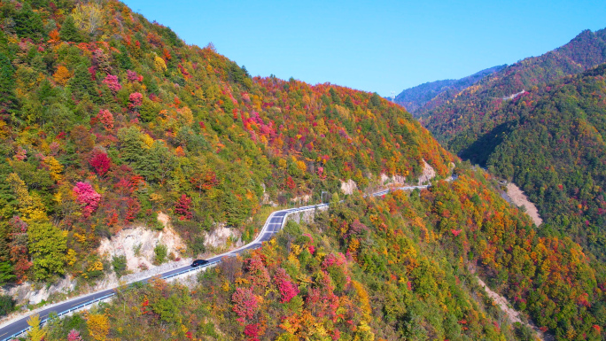 唯美秋色红叶盘山公路山区高速公路桥梁航拍