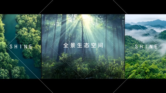 地产30秒时尚高端创意概念图文广告片头