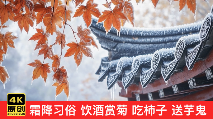 霜降习俗 饮酒赏菊 吃柿子 登高 送芋鬼