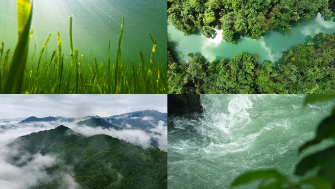生态环境水下水草清澈河流水源