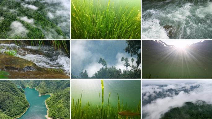 生态环境水下水草清澈河流水源