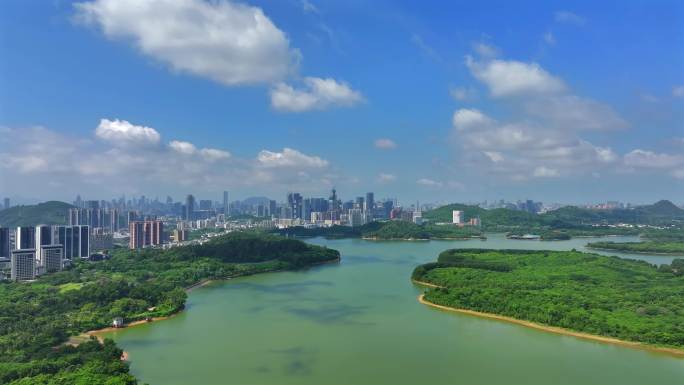 绿美南山 环西丽湖绿道 绿道 西丽湖