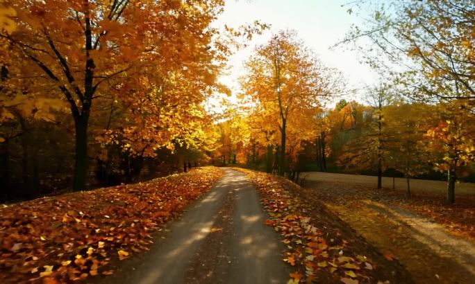 秋季自然景观系列