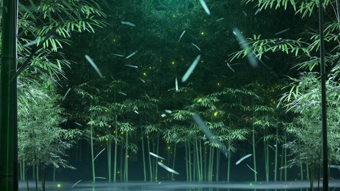 竹林空间