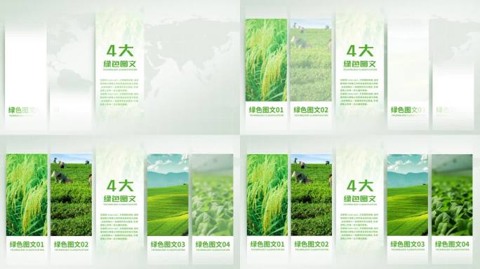 无插件-4大简洁绿色图文展示分类AE模板