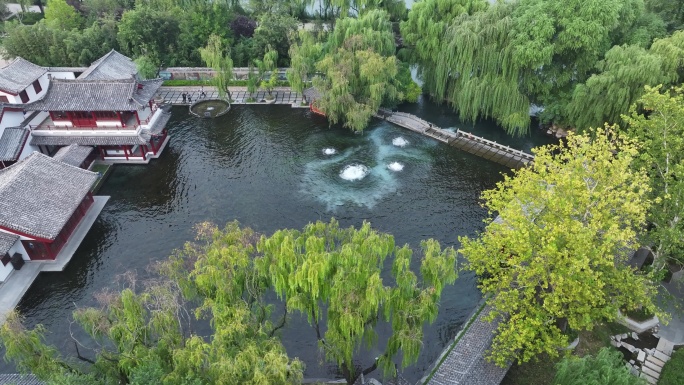 济南章丘百脉泉泉群梅花泉