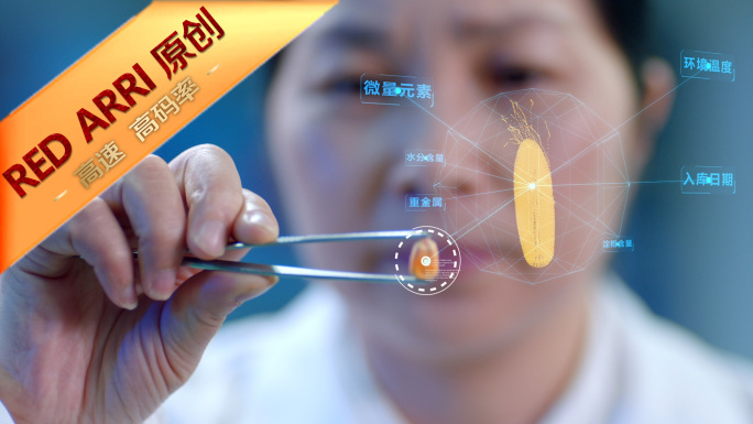 智慧农业粮食安全大米玉米种子检测科学培育