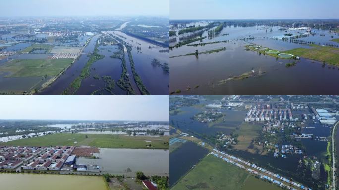 洪水 水灾 发大水 农田被淹