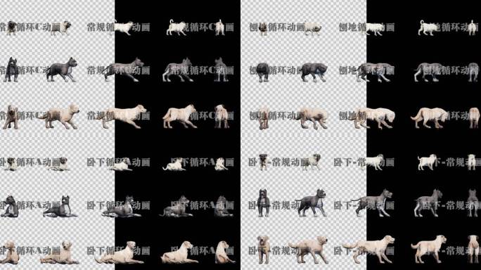 写实狗D组动画素材