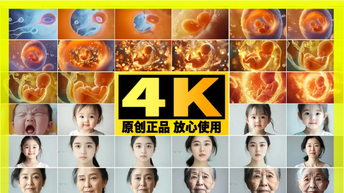 【人的一生】精子和人类卵子结合到老人人生