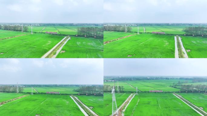 中国人的饭碗任何时候都要牢牢端在自己手中