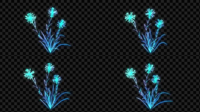 蓝色发光花朵生长开花-带透明通道