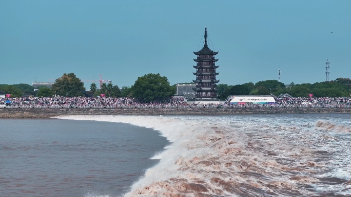 钱塘江大潮一线潮合集