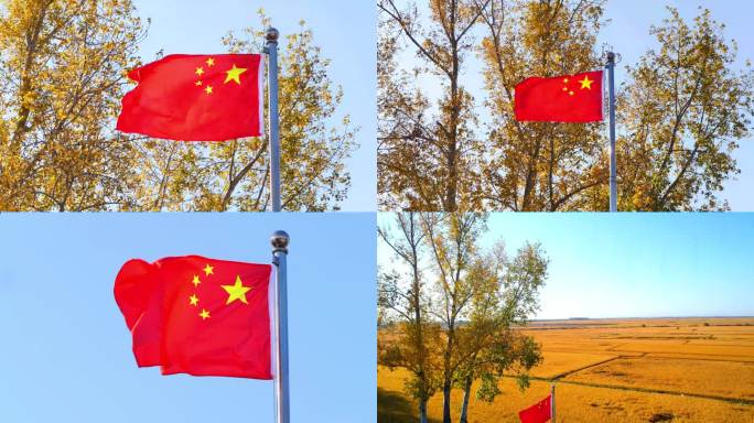 十一国庆 东北粮仓 丰收国庆