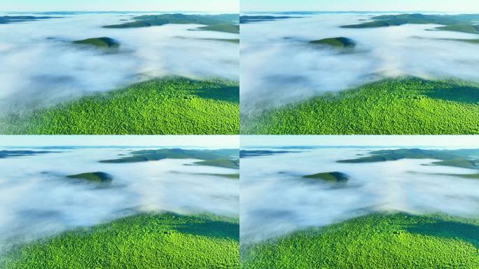 大兴安岭绿色原始森林云海