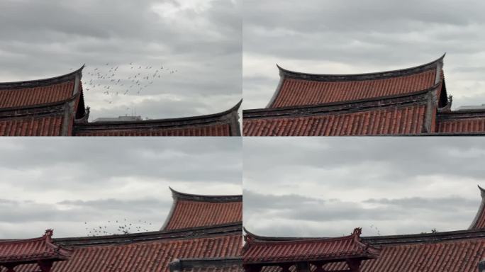 阴天鸽子天空飞鸟古建筑屋顶一群鸟儿飞过