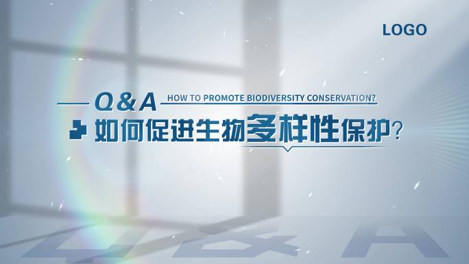 4K 高端简洁访谈提问采访问题字幕V2
