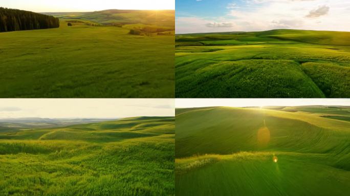 草原 贴地飞行FPV