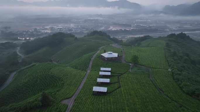 安徽绩溪旌德路西空中茶园航拍