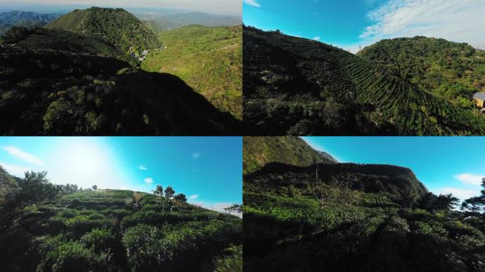 中国茶海茶园茶山风光穿越机航拍高山茶