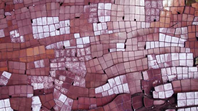 西藏芒康千年古盐田合集4K