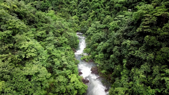 夏季水库溪流航拍