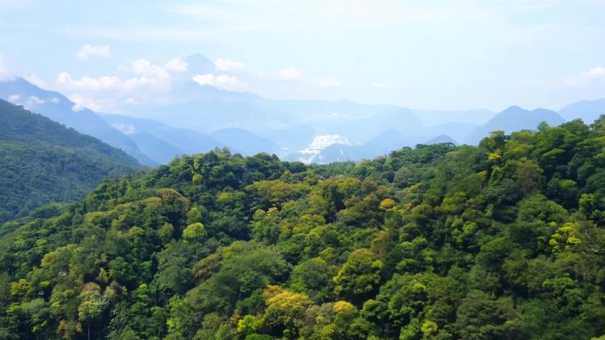 绿水青山