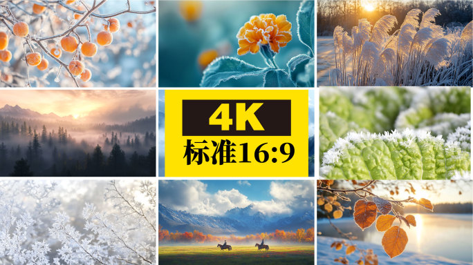 霜降 立冬 结霜
