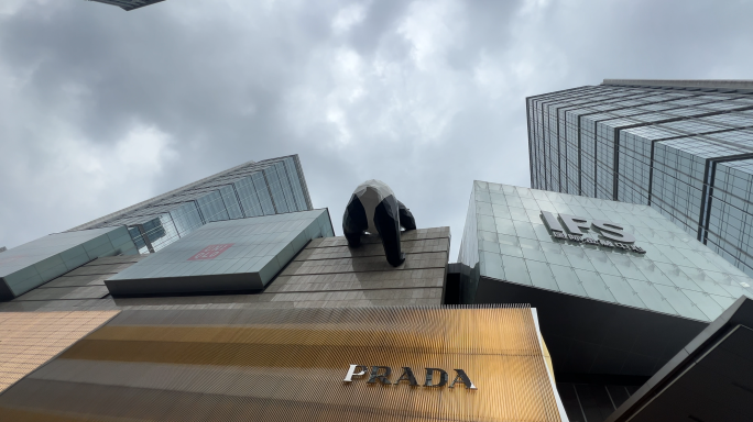 大熊猫网红墙 成都网红墙爬墙熊春熙路街景