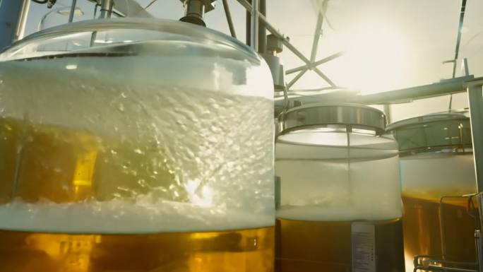 生物燃料提炼厂的多步过滤与提纯