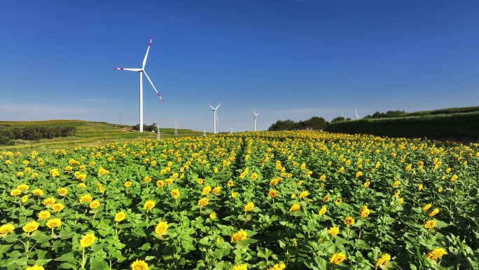 农田里风能风力发电场风车新能源