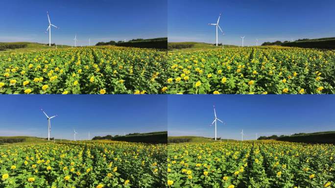 农田里风能风力发电场风车新能源