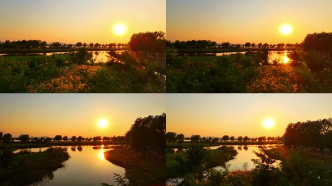 石家庄滹沱河观鸟台秋天夕阳航拍