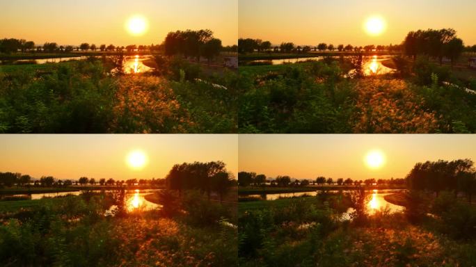 石家庄滹沱河观鸟台秋天夕阳航拍